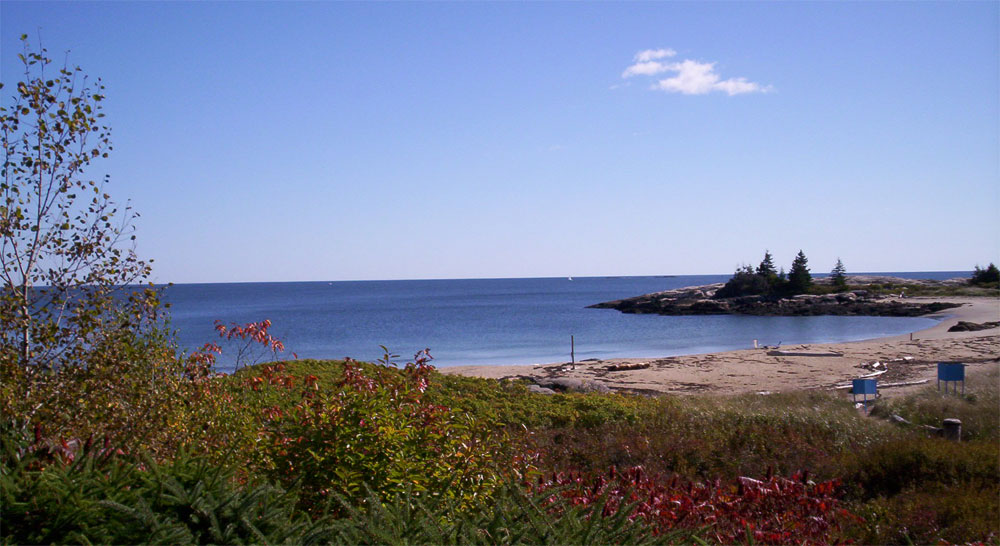 View from the Cottage